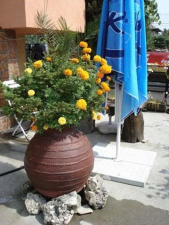 Mavrikova Kushta Otel Bansko Dış mekan fotoğraf